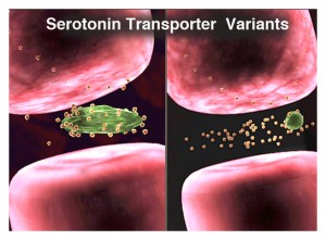 Genetic Testing For Depression Drugs Gateway Psychiatric