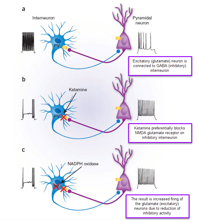 BRAIN Biotechnology Research and Information