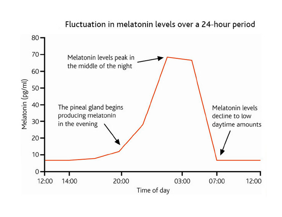 Melatonin Age Chart
