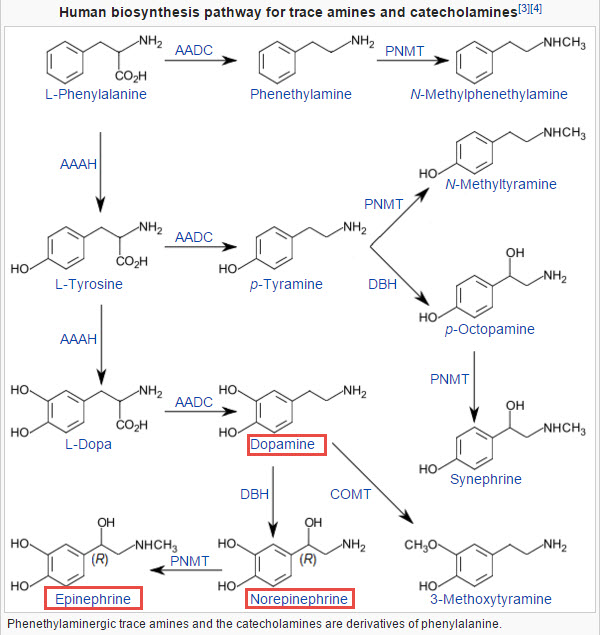 Neurotransmitters And Drugs Chart