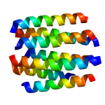 Dopamine 2 Receptor