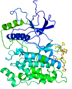 Depression Biology and Treatment